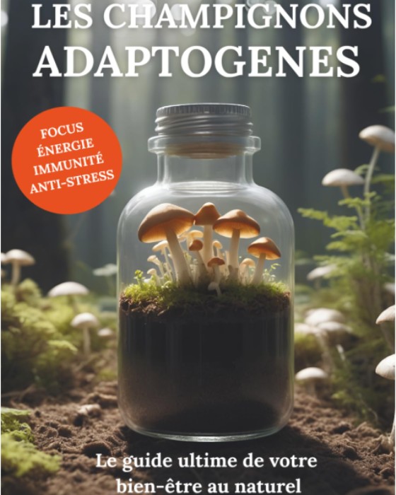 Les champignons adaptogènes - le guide ultime pour votre bien-être au naturel