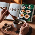 champignons adaptogènes livre